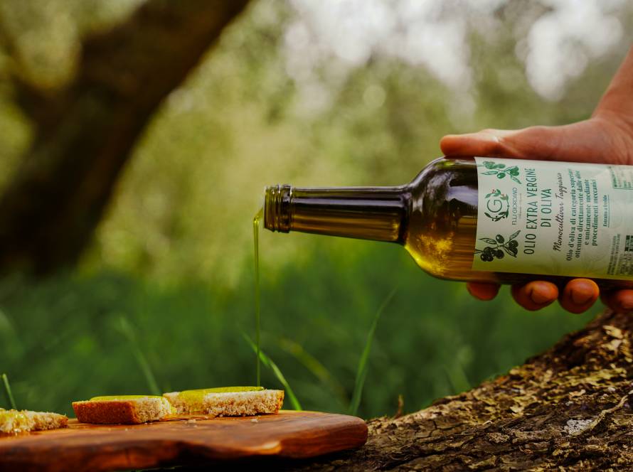 Olive Taggiasche pronte per la spremitura a freddo — Dolcedo IM